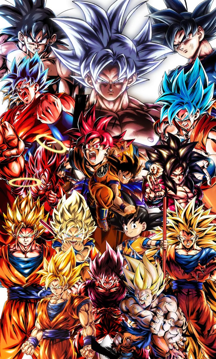 Dragon Ball - AnimeStore